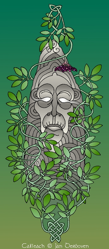 sureau cailleach